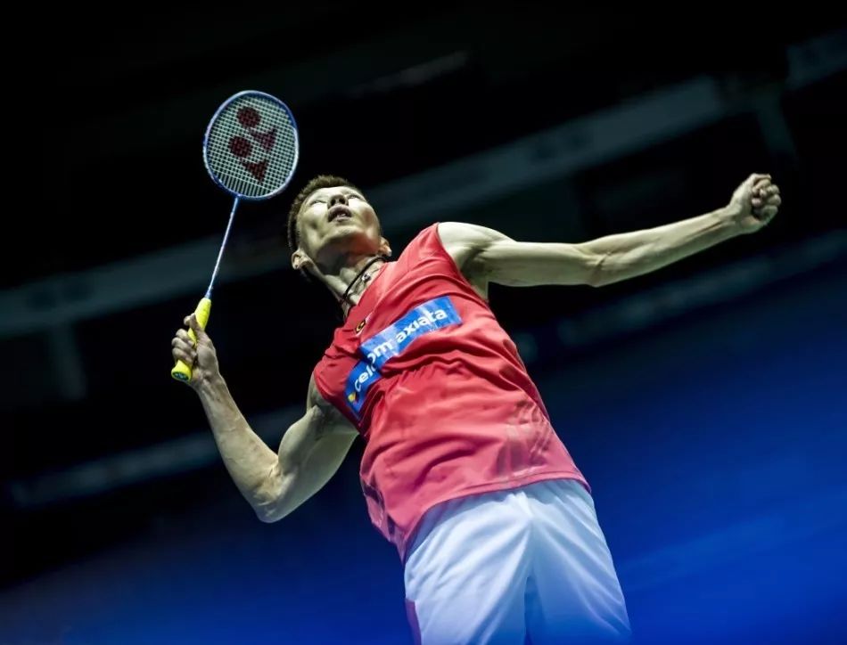 获得成功的 获得成功的