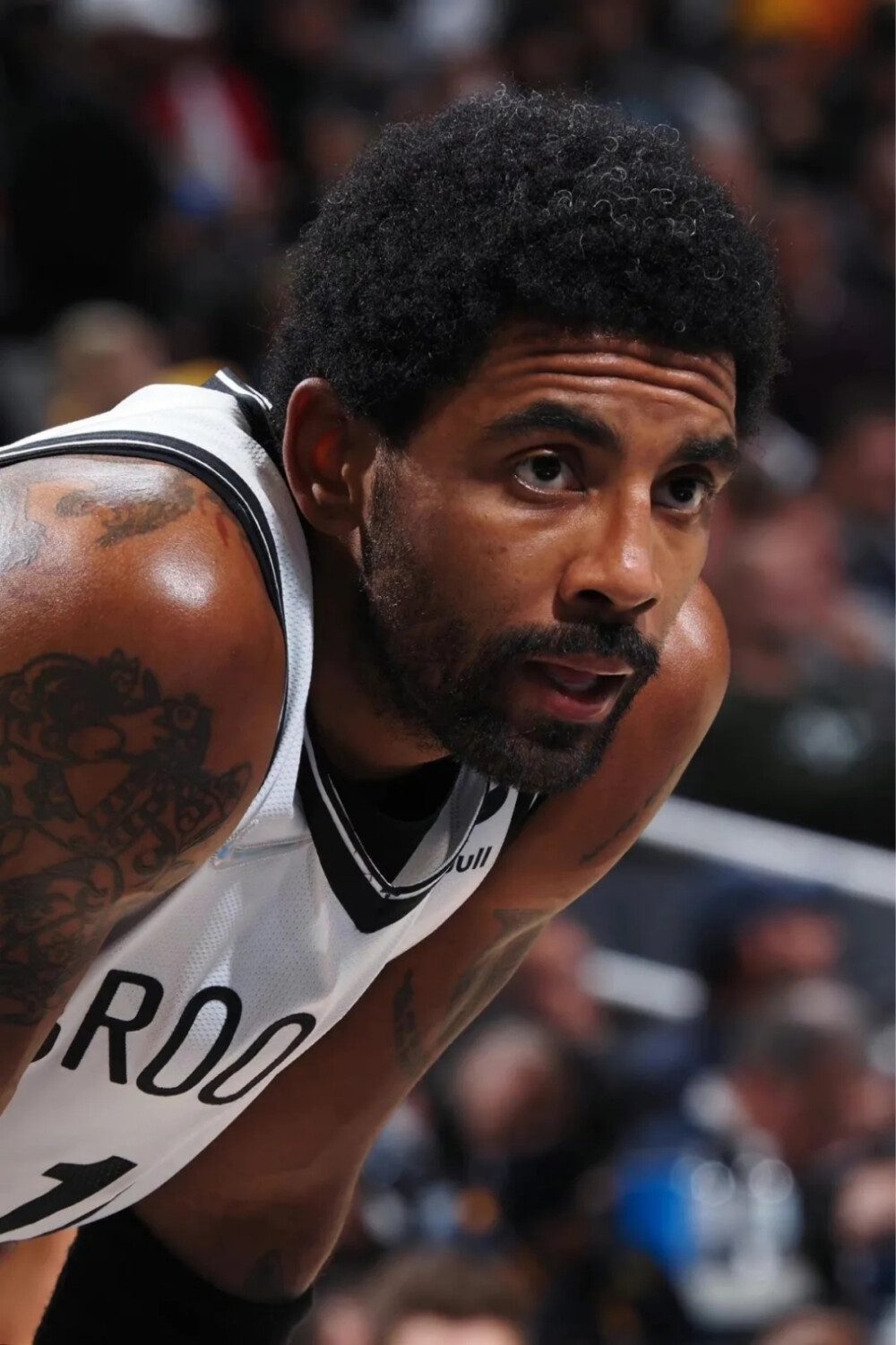 也是他们在 也是他们在