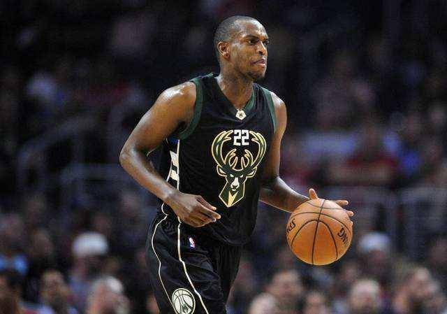 鹮的保护成 鹮的保护成