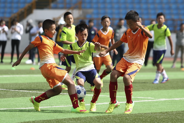 斯坦共和国 斯坦共和国